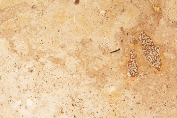 Golden marble texture of a natural white and golden stone tile.
