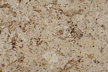 Golden marble texture of a natural white and golden stone tile.