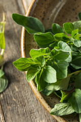 Raw Green Organic Oregano