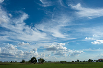 Blue sky background with green fields and white clouds.