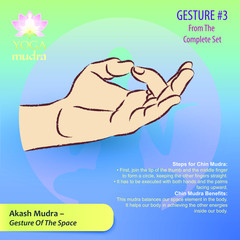 Vector illustration of gestures of indian yoga mudras: "yoga hand mudra". Shows the position of the hands and fingers for practicing yoga, pranayama and dancing. The picture contains the name and deta