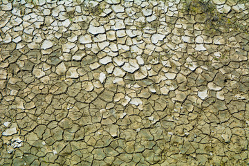 cracked earth texture