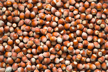 hazelnuts background. Space for text. Top view.
