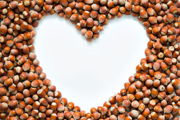 heart of hazelnut on white background. Space for text. Top view.