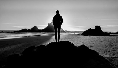 Fototapeta premium Pfeiffer Beach in Big Sur a romantic gateway for couples