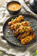 Homemade Thai Chicken Satay