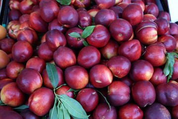 Various fruits for sale in a market in Croatia