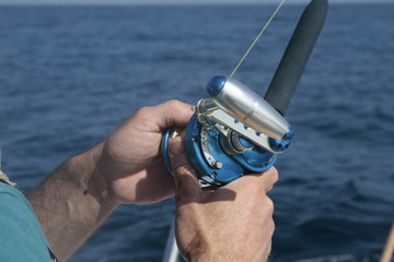 Pescando