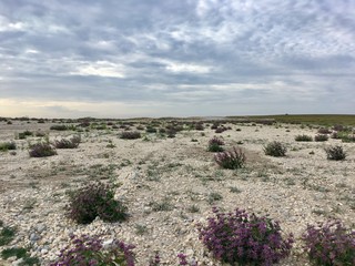 view of volcanic landscape