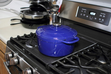 Blue Dutch on the stove top in a home kitchen.