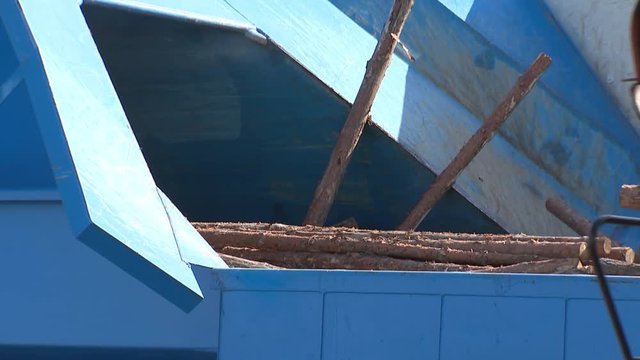 Station for treatment of wood stacked in a pile in the trees