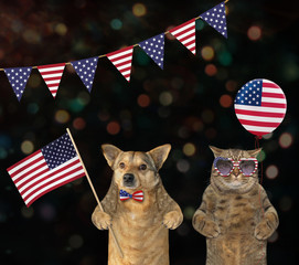 The dog patriot with the us flag and the patriotic cat with an american balloon are standing...