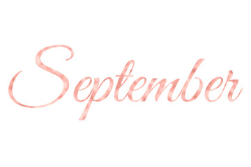 September in Rose Gold Foil, Rose Gold Months Of The Year On White Background