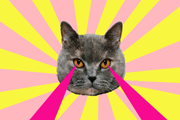 Animal art collage. Cat with lasers from eyes,