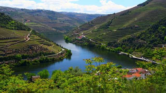 The beautiful Douro River Valley in Portugal