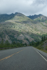 Road in Washington state forest