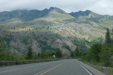 Road in Washington state forest