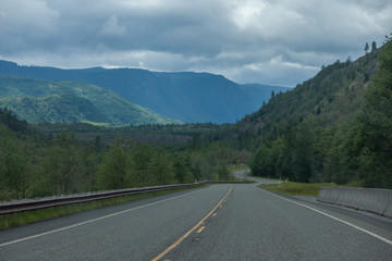 Road in Washington state forest