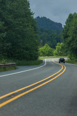 Fototapeta premium Road in Washington state forest