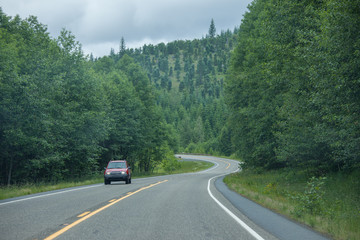 Road in Washington state forest