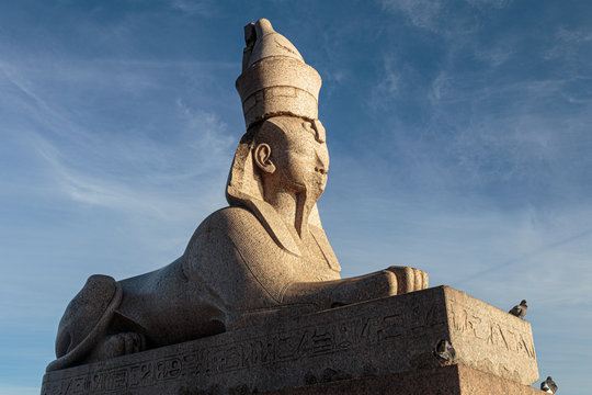 Ancient statue of spinx on University embankment, St. Petersburg, Russia.