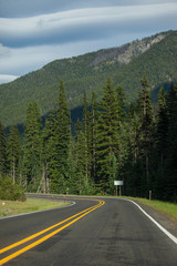 Naklejka premium Road in Washington state forest