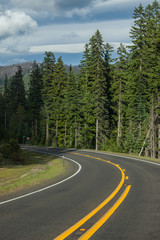 Fototapeta na wymiar Road in Washington state forest