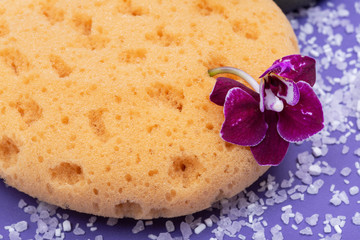 Spa Wellness Concept. Natural Foam Bath & Shower Sea Sponge, Orchid Flower and Lavender Epsom Salt on bright purple background.