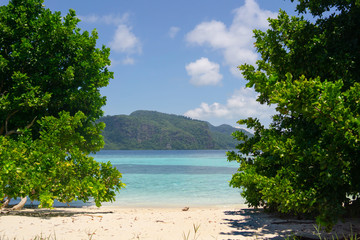 Tropical island outlook.