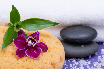 Spa Wellness Concept. Natural Foam Bath & Shower Sea Sponge, stacked Basalt Stones, Bamboo, Orchid Flower and Lavender Epsom Salt on purple background