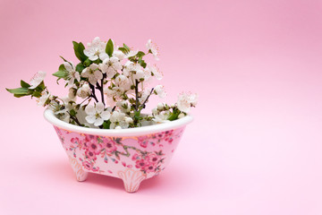 Creative idea of spring, Creative idea of spring