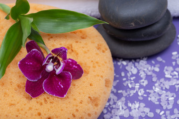 Spa Wellness Concept. Natural Foam Bath & Shower Sea Sponge, stacked Basalt Stones, Bamboo, Orchid Flower and Lavender Epsom Salt on purple background