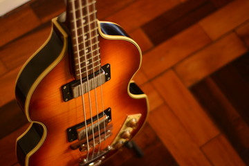 Fototapeta premium viola bass guitar