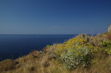 Wildblumenwiese auf Sizilien