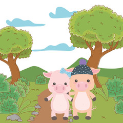 Couple of pigs cartoons design