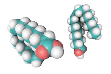 Molecular model of oleic acid. Atoms are represented as spheres with conventional color coding: hydrogen (white), carbon (light blue), oxygen (red). 3d illustration