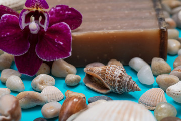 Handmade moisturizing Frankincense & Myrrh Goat's Milk Bar Soap decorated with Pebbles, Sea Stars, Sea Shells and Orchid Flower on blue background.
