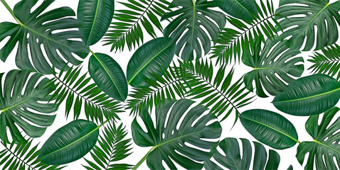 Horizontal artwork composition of trendy tropical green leaves - monstera, palm and ficus elastica isolated on white background (mixed). - obrazy, fototapety, plakaty