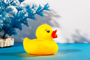 Patito de goma sobre superficie azul con plantas y fondo blanco, acercamiento de vista lateral 