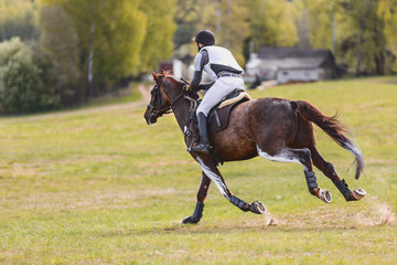 portrait of horse gallop during eventing competition