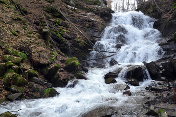 Naklejka premium Waterfall green forest river stream landscape