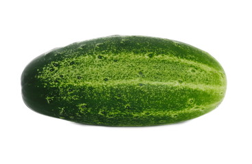 Cucumber isolated on white background