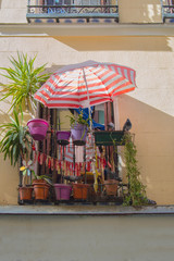 a balcony with umbrella, plants and pigeons