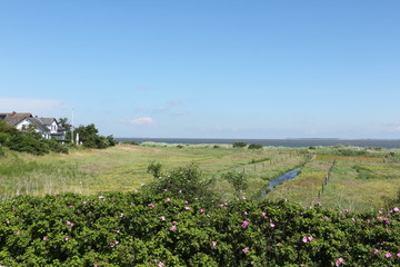 Naturlandschaft auf der Nordseeinsel Amrum