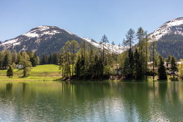 View of a small lake, green meadows in front of high mountains at blue sky in the Swiss Alps in the Davos / Kloster area.