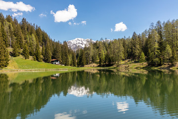 Fototapeta na wymiar View of a small lake, green meadows in front of high mountains at blue sky in the Swiss Alps in the Davos / Kloster area.