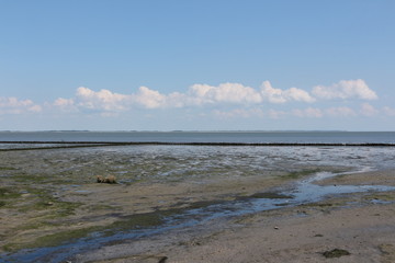 Blick auf das Wattenmeer vor der Nordseeinsel Amrum