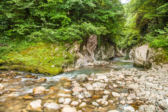 Mountain river Khosta in Sochi