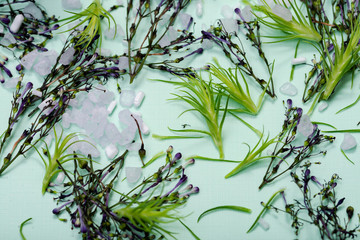 Wellness Relax concept with Spa elements. Real Fresh Flower Sprinkles Confetti and sprinkled Lavender Epsom Salts on green background.