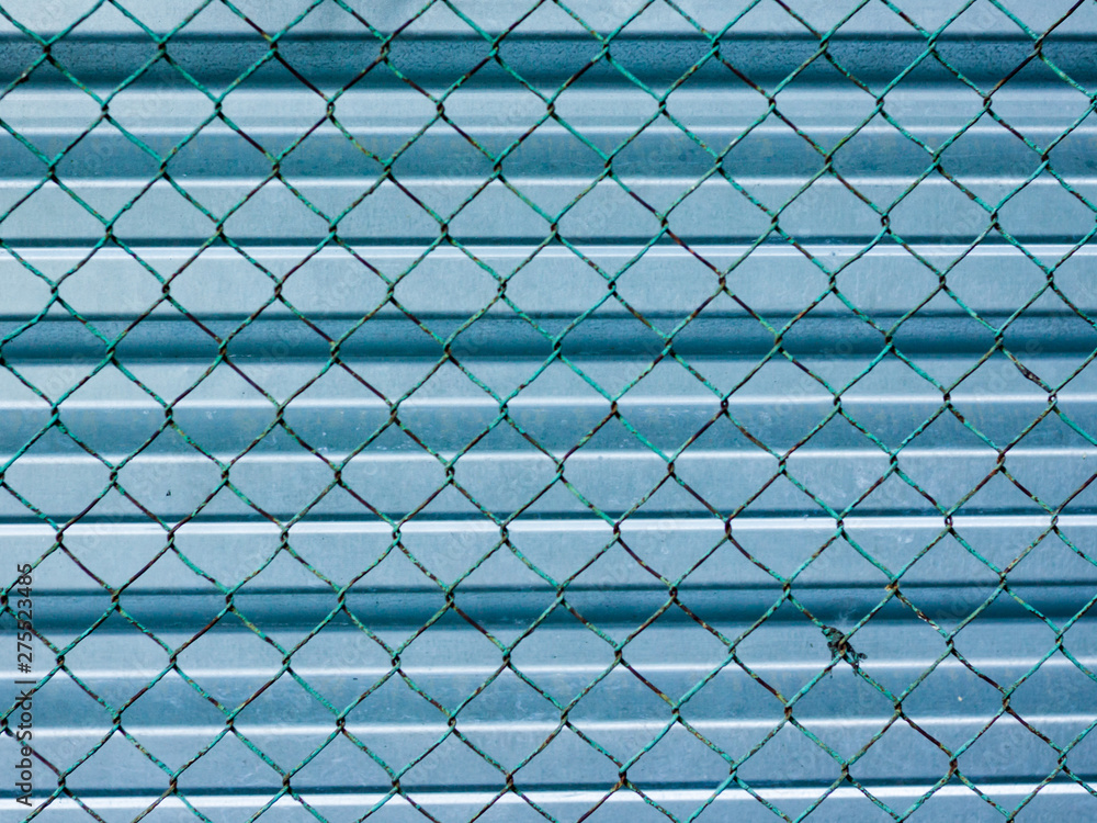 Wall mural iron grid on the background of an iron fence